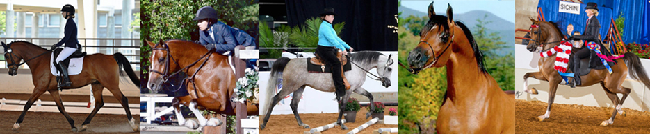 members-photo-banner